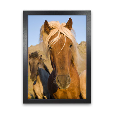 Blondie 1 Piece Wall Art on Canvas