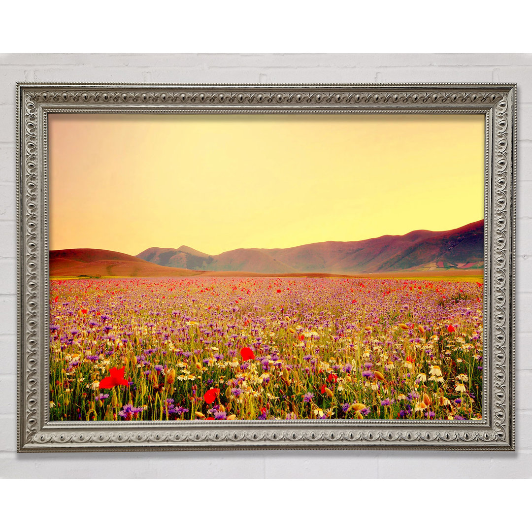 Sunny Field Of Beautiful Wild Flowers - Einzelner Bilderrahmen Kunstdrucke