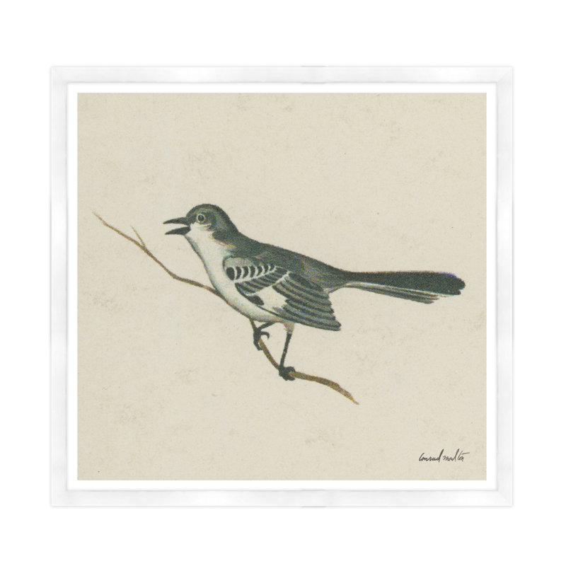 Mockingbird Print, White Framed