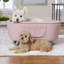 Polyester Pet Bed-965378802