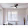 Chenery 30'' Ceiling Fan with LED Lights