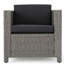 Fauteuils club d'extérieur, noir, coussins d'eau inclus 4 chaises - confortables