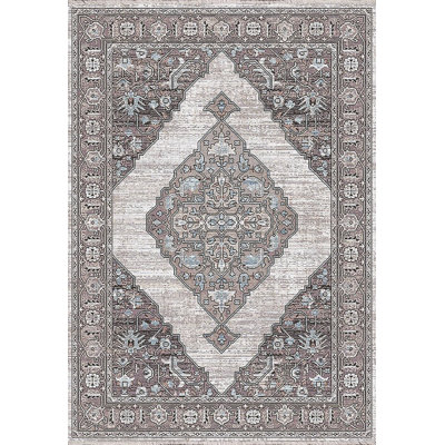 Oriental Indoor Rug