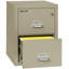 Fireproof 2 - Drawer File Cabinet-3079045