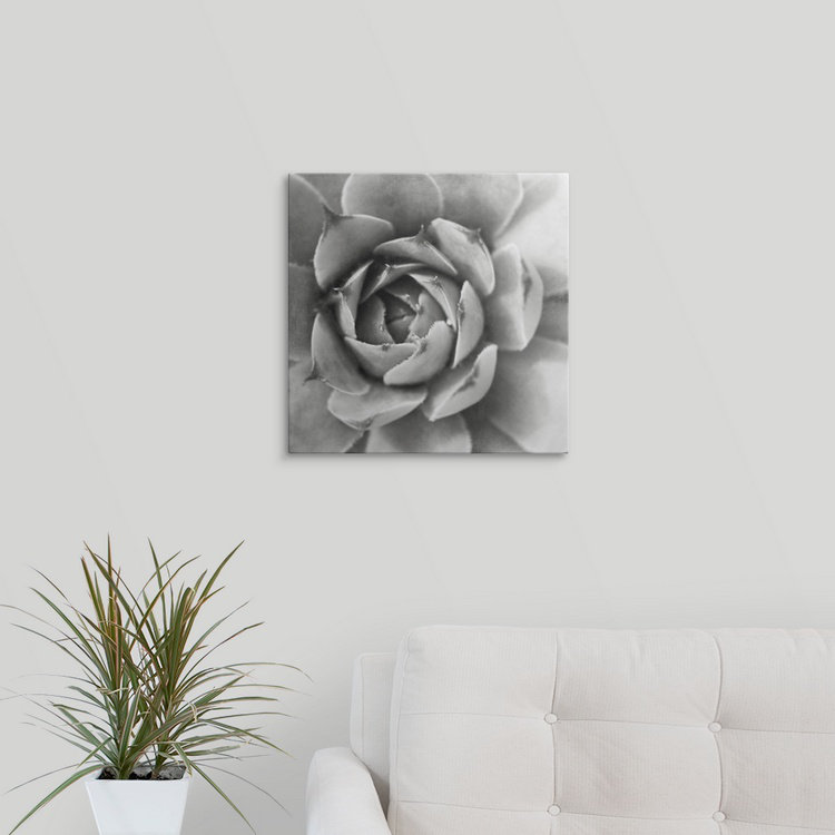 « ii » par laura marshall, reproduction de photo Garden Succulent, H 35 po x l 35 po x P 1,5 po, Toile