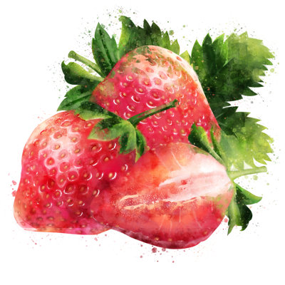 Ashwika " Strawberry Illustration " by Conceptcafe