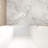 Tempered Glass Pivot Shower Door