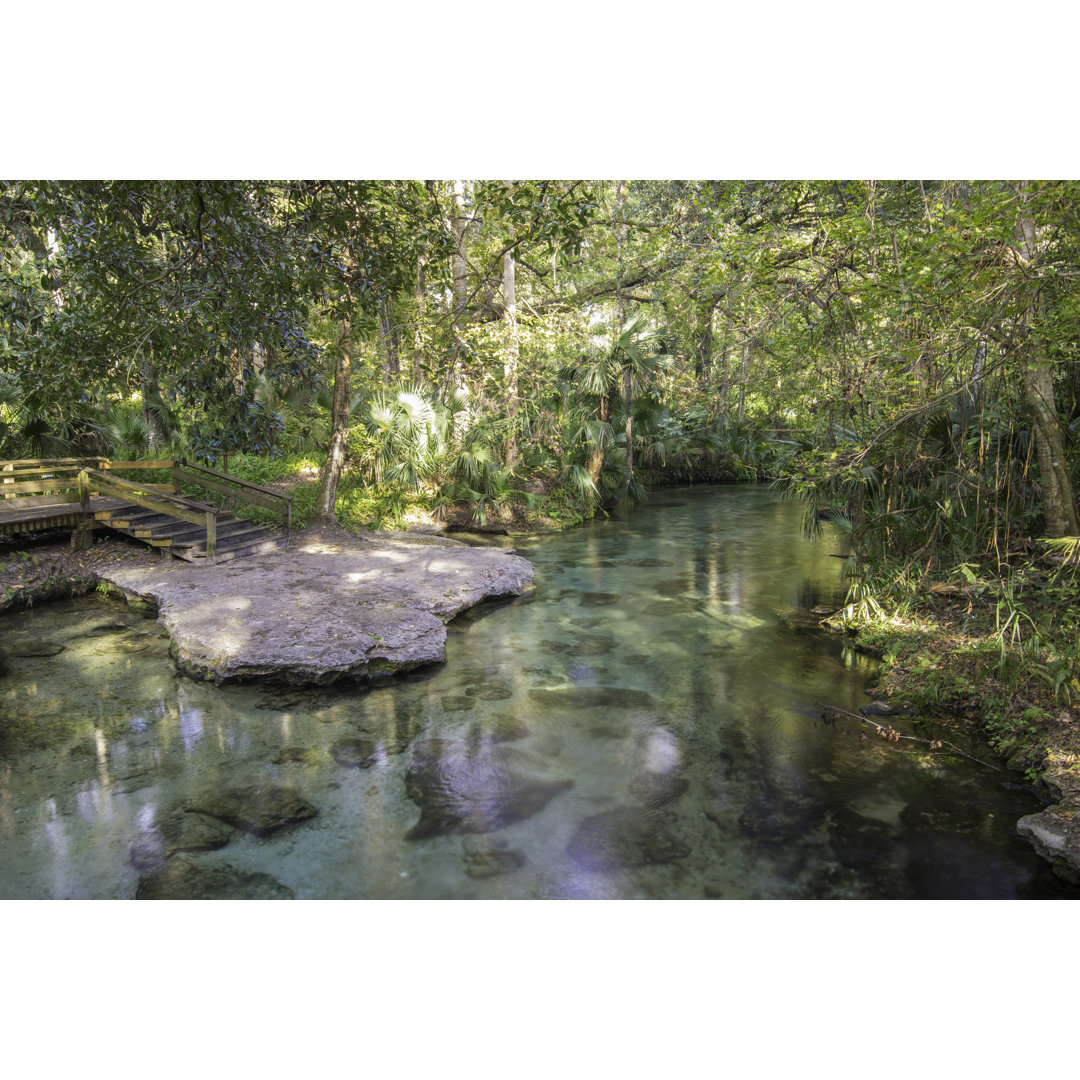 Klarer Frühling in Florida - Kunstdrucke auf Leinwand