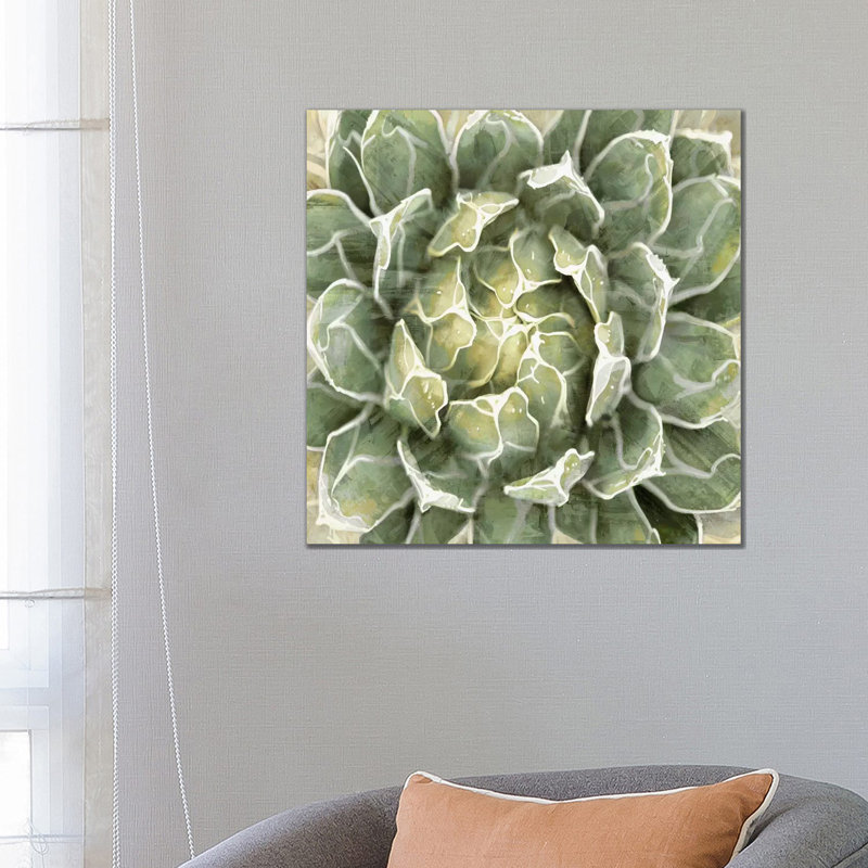 Succulent VII by Lindsay Benson - Wrapped Canvas Painting