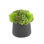 Rizal Faux Succulent in Fiberstone Pot