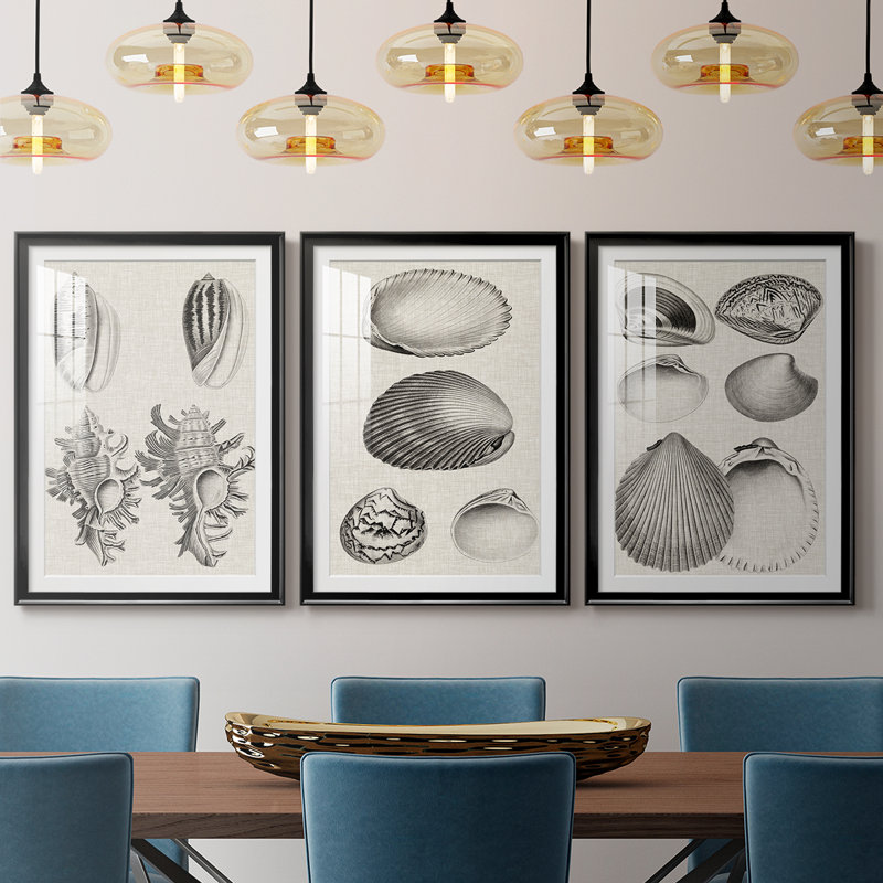 Charbon et coquilles de lin VII, Noir, H 21 po x l 30 po