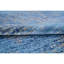 Abstract Area Rug-64646023