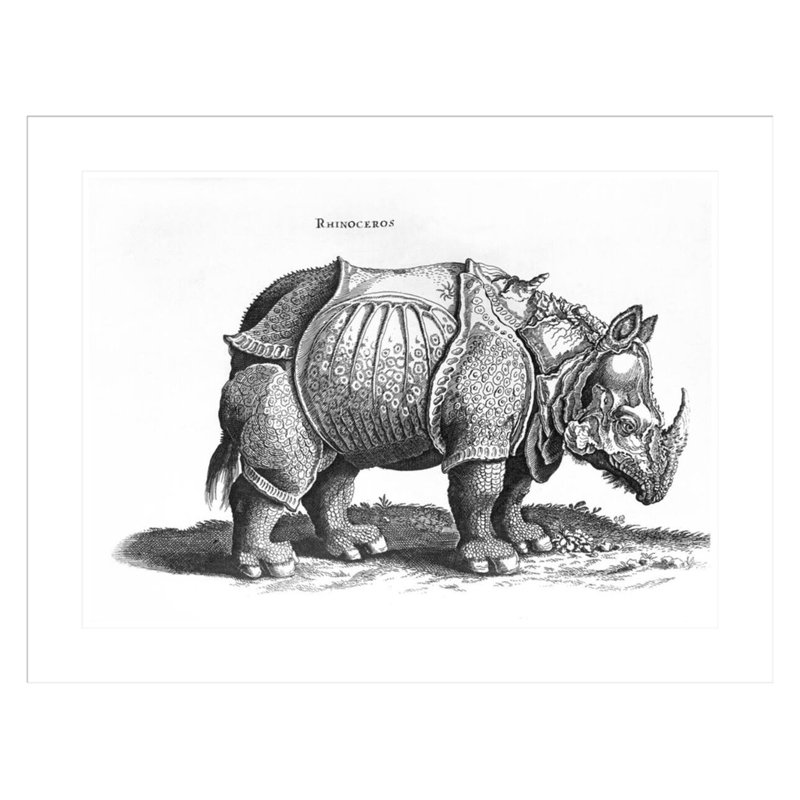 «Rhinoceros no 76» par «historique animal» par Conrad Gesner (1516-65) par Albrecht Dürer, impression giclée encadrée