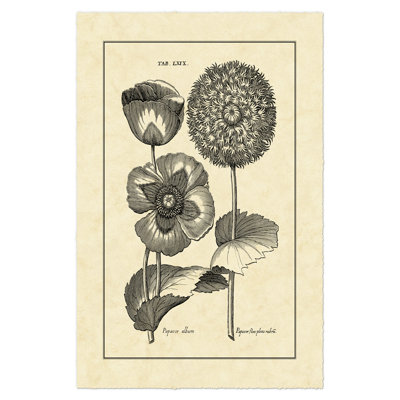 Vintage Besler III 1 Piece Wrapped Canvas Wall Art