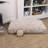 Mabel Designer Modern Ultra Soft Reversible Plush Rectangular Pet Bed with Washable Cover-106171335-106171333