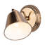 Harding Spotlight-25454781
