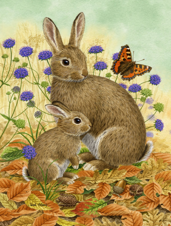 Polyester à 2 côtés 40 x 28 po lapin et baby drapeau maison