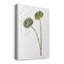 «Botany Flower V», impression sur toile tendue-158828451