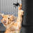 25" Halloween-Themed Cat Scratching Post