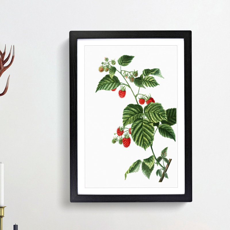 Raspberry Plant by Pierre-Joseph Redoute - Picture Frame Painting Print, 48cm H x 36cm W x 2cm D, Black Framed