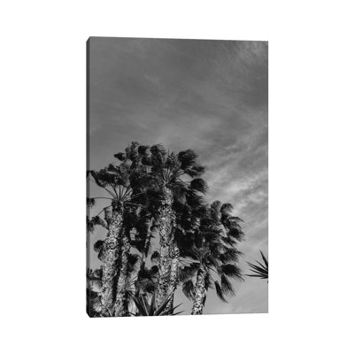 Monochrome California Sky by Bethany Young - Print on Canvas