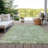 Machine Washable Indoor/Outdoor Xhevrie Aloe Rug-785480370