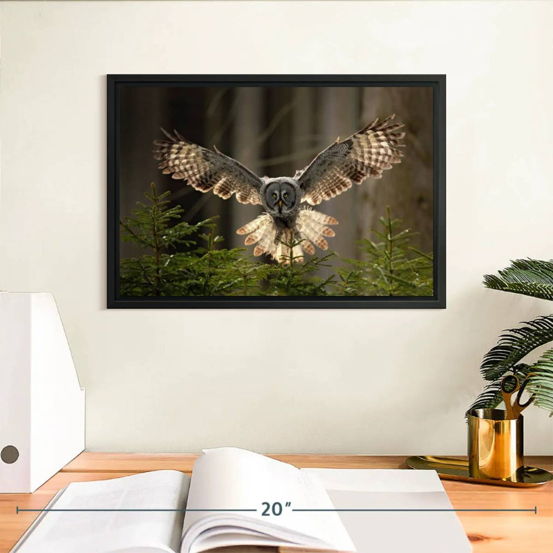 Brampt Flying Owl, 9" H x 13" W