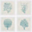 Coral Group Quadrupych - ensemble de 4 reproductions d'art encadrées-27007718