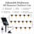 Brightech Ambience Pro Solar - Super Bright 48Ft Remote Control Outdoor String Lights
