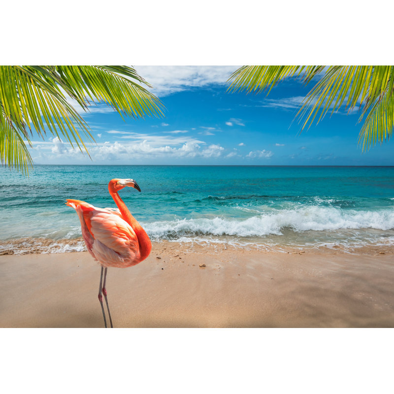 Flamant rose sur la plage par Napa74 - Photographie sur toile tendue, H 32 po x l 48 po x P 1,25 po