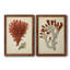 Toile encadrée antique rouge corail-1840494390-1840494411-1840255110