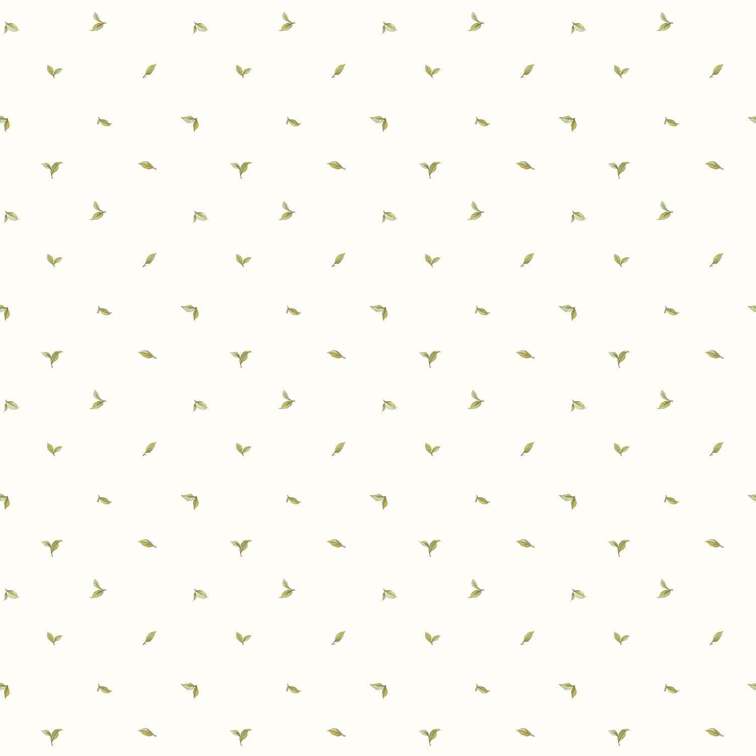Galerie Wallcoverings Kitchen Recipes Wallpaper Roll, Green