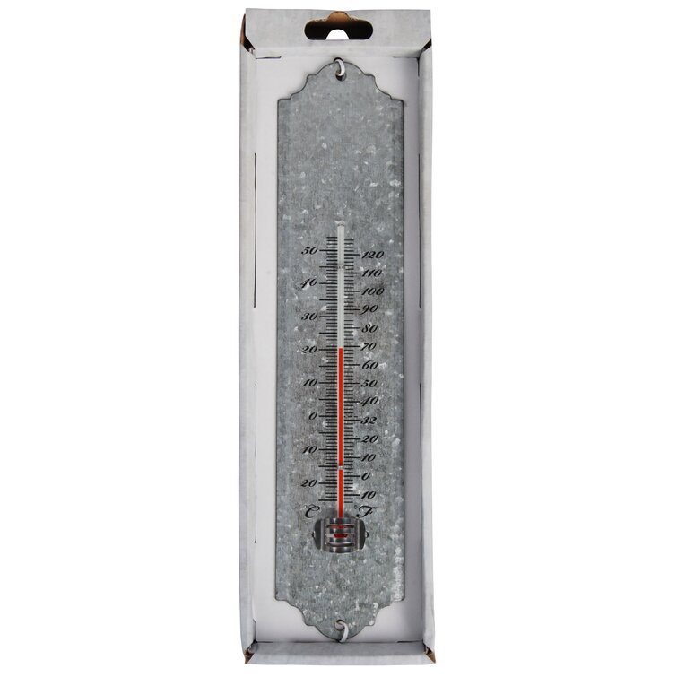 Thermometer 30Cms (Zinc)