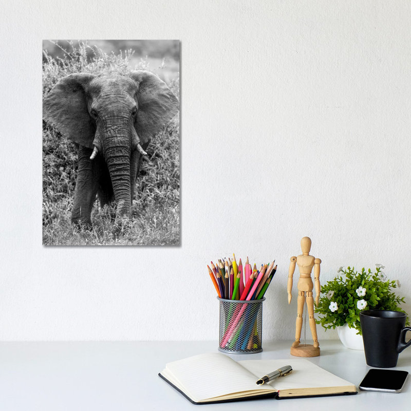 Elephant In The Bush by Anders Jorulf - Wrapped Canvas Print, 20.32 cm H x 30.48 cm W