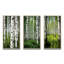 «White Green Birch Tree Whispers», 3 pièces sur toile-1796549240-1796549234