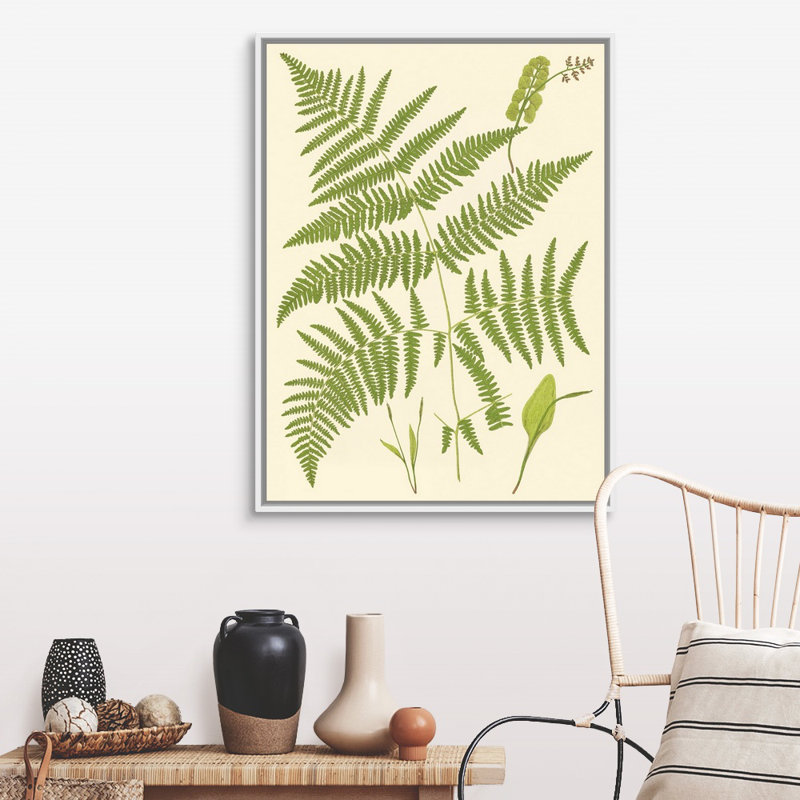 Art sur toile, "Ferns with Platemark I", Toile avec cadre blanc, H 40 po x l 30 po x P 2 po