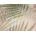 Sandstone