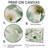 Watercolor Greenery Sage Watercolor - Plants Wall Art, Green Botanical Canvas Print-1652012009-1652011984-1652011999