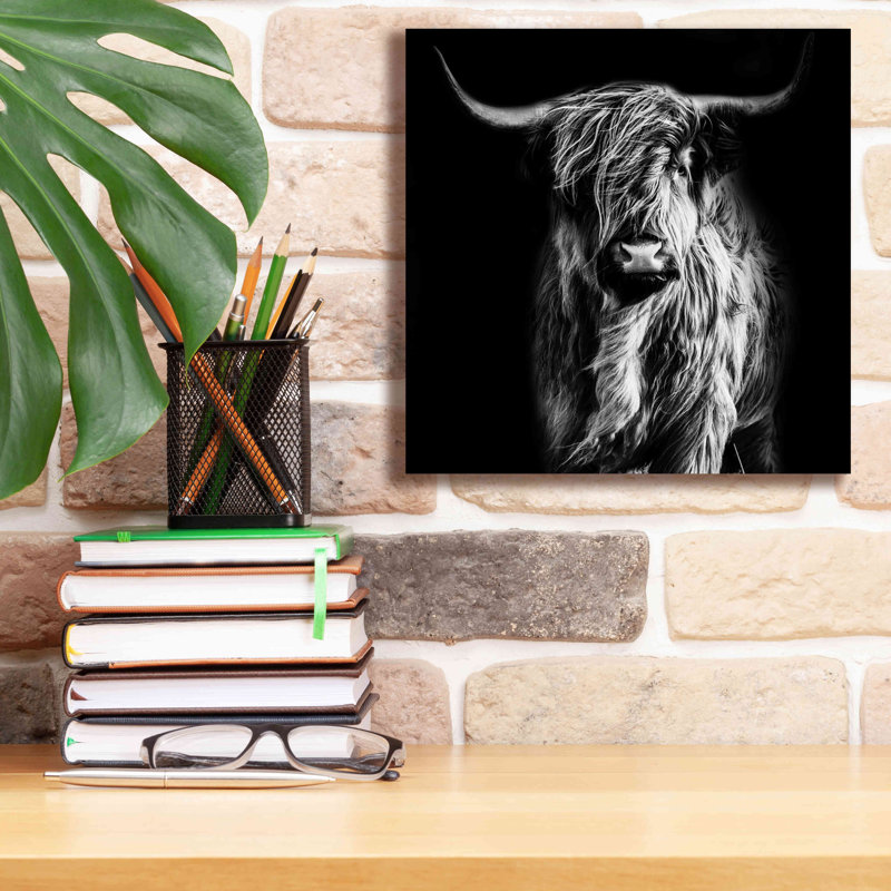 Union Rustic «Hippy Highland Cow» par Epic Portfolio, estampe numérique sur toile, H 12 po x l 12 po x P 0,75 po