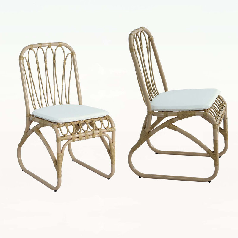 Ensemble de chaises d'extérieur en osier avec coussins confortables et design élégant, Beige / Naturel