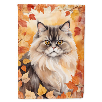 Chat en feuilles d'automne