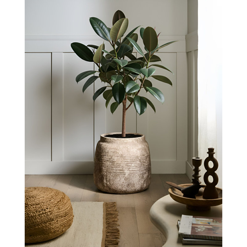 Pot Planter