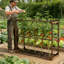 Cadre de support de treillis pour jardin d'extérieur pour légumes grimpants Cadre en bois de tomate canneberge avec 5 cages