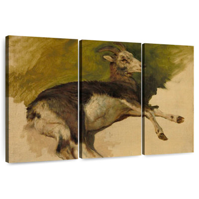 A She-Goat