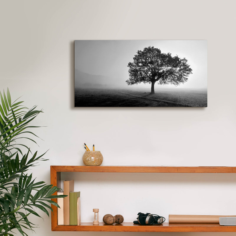 «Epic Graffiti» «Tree In Mist» par Photoinc Studio, art mural sur toile, H 12 po x l 24 po x P 0,75 po