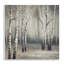 Misty Birch Tree Forest Mute Landscape - impression-105255744-105255749