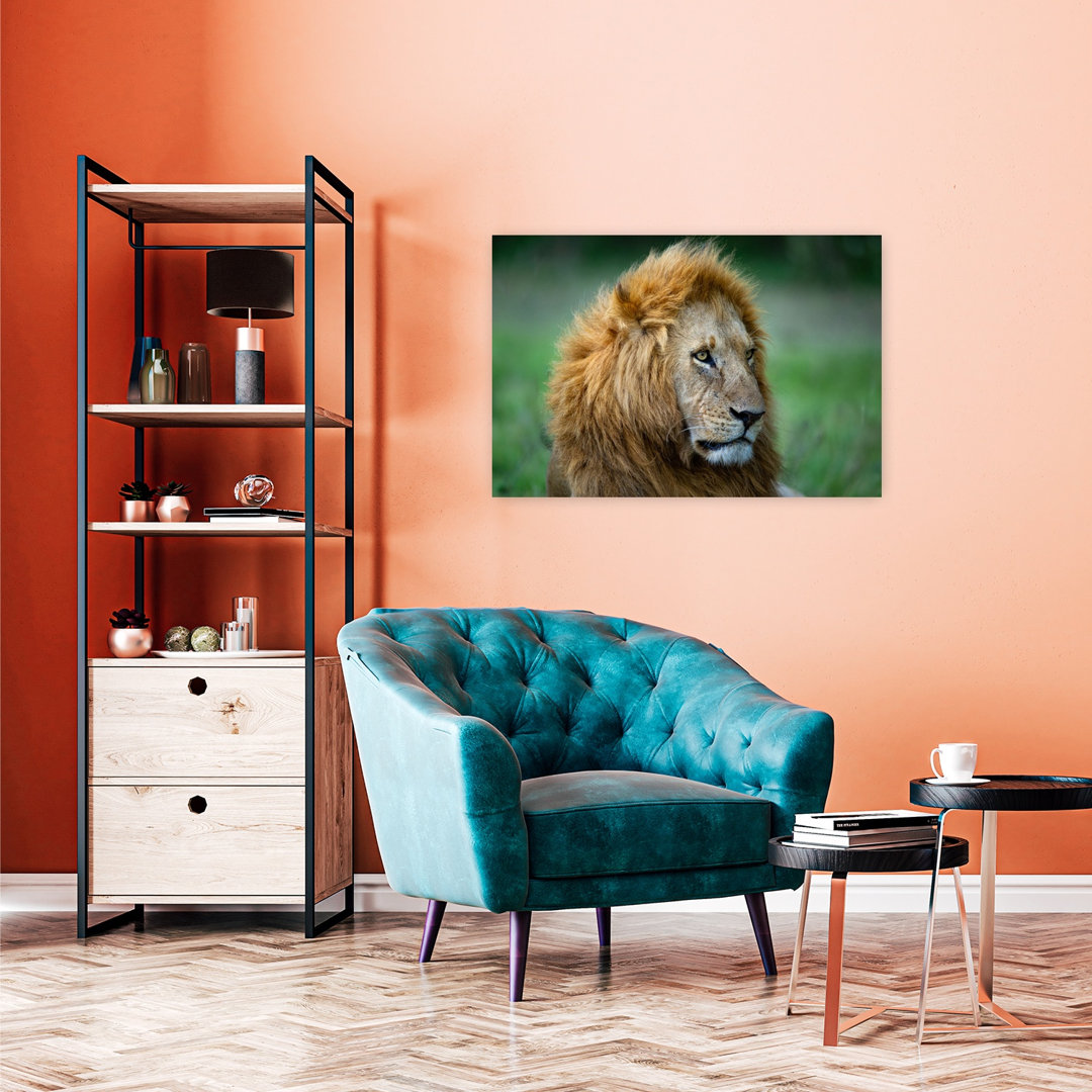 Majestic Lion Gaze Contemporary Wall Art Print