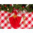 Wolsingham Gingham 100% Cotton Square Tablecloth-1105209529-1110697330