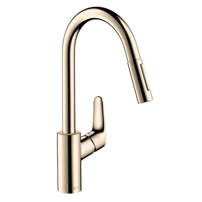 Focus Single Handle Kitchen Faucet
