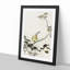 Bunting Bird on a Blossom Branch by Ohara Koson - Picture Frame Art Print-55681178-55681176